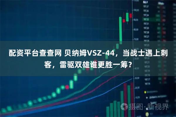 配资平台查查网 贝纳姆VSZ-44，当战士遇上刺客，雷驱双雄谁更胜一筹？
